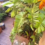 Jardin Fierro Hotel Boutique Buenos Aires